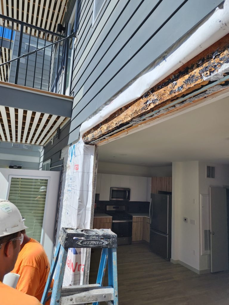 Renovation project 8