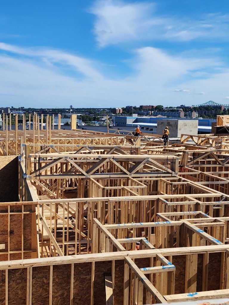 Framing project 8